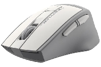 Мышь беспроводная A4 Tech Fstyler FG30S белый/серый оптическая (2000dpi) silent  USB (6but)